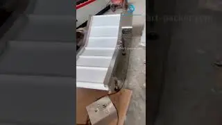 Customized different angle plastic food grade bucket chain feeding machine testing video