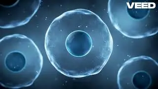 cell is basic structural and functional unit of life🔥 cell biology