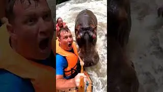 Epic Boat Escape 🏝️ #riverchaos #wildencounter #boateescape #unexpectedfun