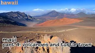 Exploring Maui's Volcanoes and Underwater Turtle Town!