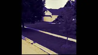 Diamond Delicious - The Bonfire (Visualizer)