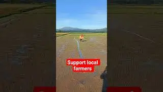 support local farmers