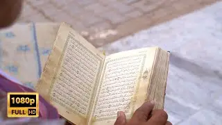 Reading Quran | Free Islamic Stock Footage |  Free Render Footage