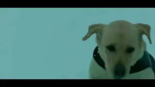 777 charlie emotional snowfall scene