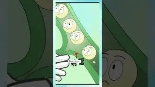 2.Causes of deformed cucumbers. #cartoon #plants #thetalkinggarden