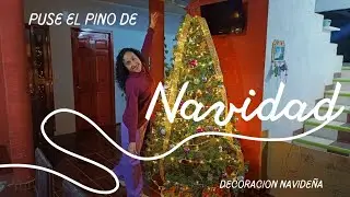 🎄Decoración navideña tradicional económica ✨️🎅🏼 poniendo el pino/decorando la cocina, sala y comedor
