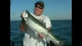 Fishing 411 - Steelhead Fishing on Lake Erie - Part 103