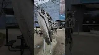 Boreal sculpture by Deborah Butterfield - Hunter museum of American art #Shorts