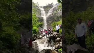 Pahine Nature #waterfall #nashik #nature #viral #trending #shorts #video #india #viralreels #reels