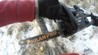 Cutting Firewood with Poulan PR4218 chainsaw #Canada #chainsaw