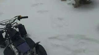 ATV H4 mini 49cc 2T