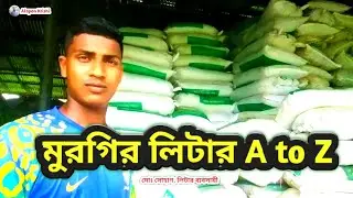 মুরগি লিটার কেনাবেচা। Murgir Liter Video Bengali 