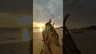 Sunset Camel Ride &bull; Kelan Beach Bali