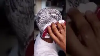 Comment faire les 360 Waves comme 360jeezy regarde jusqu'&agrave; l&agrave; fin
