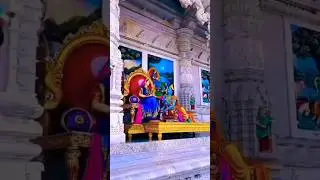 Radha Rani Krishna ji ke sang #song #jimaa #viral