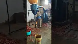 kurnool Red chilli powder making ( cell - 9177326503)