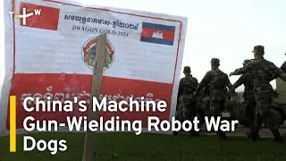 Beijing Unveils Machine Gun-Equipped Robot War Dogs | TaiwanPlus News