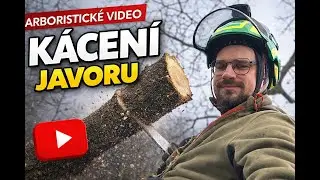 🌳 Rizikové kácení stromů – arboristické video #1 🌳