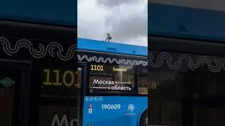 Автобусы для богачей. #transport #bus #барвиха #москва #московскаяобласть #московскийтранспорт