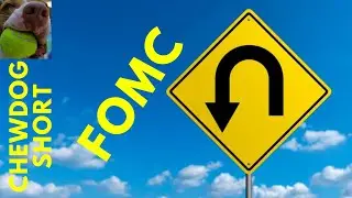 Fed Pivot?  What Do Interest Rates Show?
