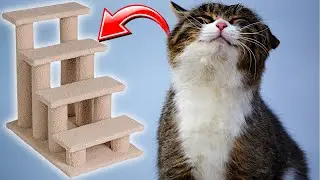 Best Stairs for Cats? Good Life 25-Inch 4-Step Pet Stairs