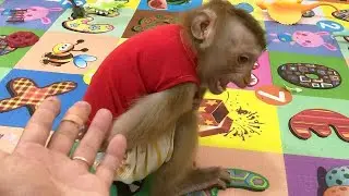 Little Jason Humble Refuse Dad Called Want Play With Brother Happily