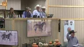 R A Brown Ranch Quarter Horse Sale Oct 10th 2023_Oct10_18-11-02