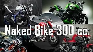 Z300 VS MT-03 VS TNT300 VS 390DUKE VS CB500F
