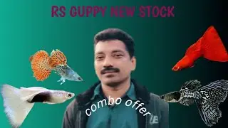 Happy New Year  2026