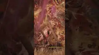 TOP 1 BUILD Dragon-Hunter&rsquo;s Great Katana &ndash; Kiếm Diệt Rồng MẠNH NHẤT, Full Lv 1&rarr;70 Cho Người Mới!