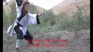 Drag&oacute;n Wudangshan 武當武術 龍華拳 Long Hua Quan Dragon Form