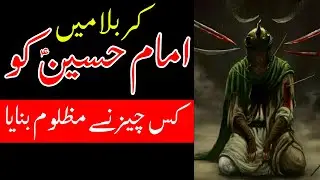 Karbala Me Imam Hussain as Ko Mazloom Kis Cheez Ne banaya | Mehrban Ali | امام حسین علیہ السلام