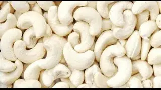 TANZANIA CASHEW