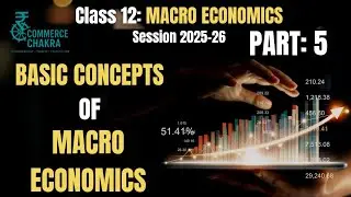 Stock and Flow | Class 12 Macroeconomics | Difference with Examples | CBSE Economics