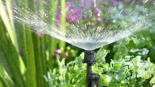Micro Irrigation Systems Market- Global Industry Trends, Size, Share, Analysis & Forecast 2017-2025