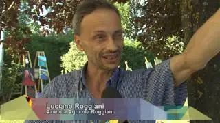 Festa di Santa Rita dell'Oca 2017