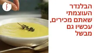 בלנדר חם קר | HB153 | Blender Hot and Cold - פודי