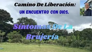 Camino de Liberación.  Síntomas de la brujería