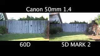 NKA TUTORIAL - CROPPED SENSOR V.S. FULL FRAME SENSOR