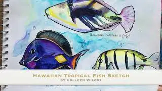 Hawaiian Tropical Fish Sketch Time-lapse