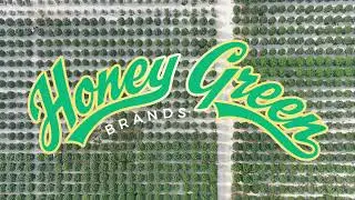 Visit Honey Green: the Largest Outdoor Cannabis Farm in Missouri