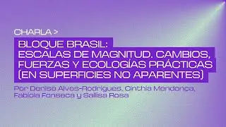 Charla | Bloque Brasil: Escalas de magnitud. Cambios, fuerzas y ecologías prácticas