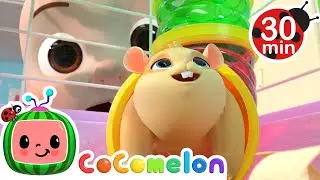 Meet Our Class Pet! | Cocomelon and Little Angel Nursery Rhymes