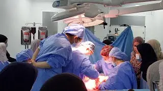 Chinese medics: Boosting the health of women and children in Algeria