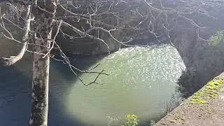 Just 5 Minutes here will calm your mind I Peaceful Village Sounds in Portugal