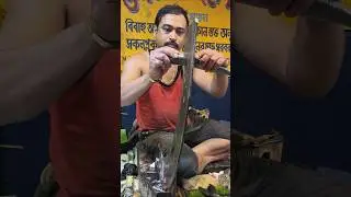Cutting Elisha Fish Like a PRO &ndash; Unbelievable Technique!