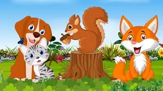 Amazing animal sounds: Cat, Dog, Fox, Goat, Sheep, Chicken - Funny Animals