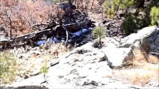 New Mexico Dry Ground Tom 2016