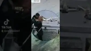 A vita mi si tu