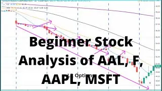 Beginner Stock Analysis of AAL, F, AAPL, MSFT